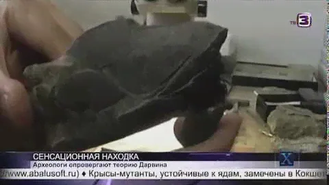 Рыба с человеческой головой! Загадка природы или предок человека