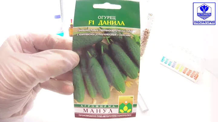 Огурец Данила F1. Манул