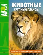 Животные крупным планом. Иллюстрированная энциклопедия. Animal Planet (Махаон)