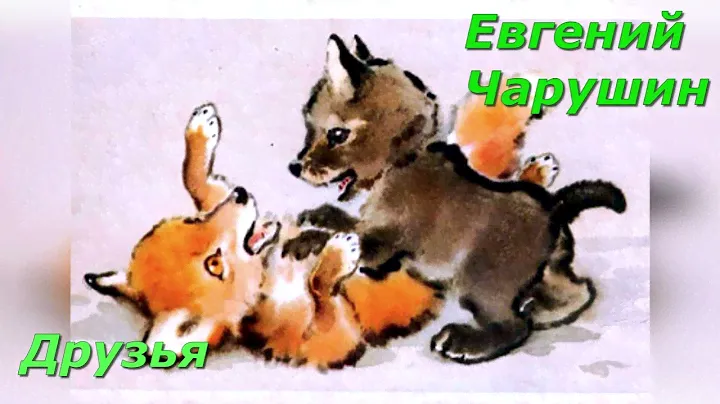 Друзья. Е. Чарушин.