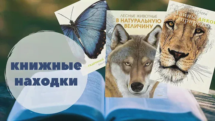Тайны дикой природы / Загадочный мир бабочек / Животные в натуральную величину (книжные находки)