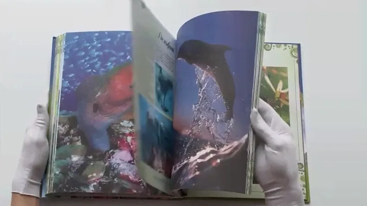 Большая книга о животных. 1001 фотография