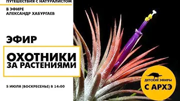 Детский эфир "Охотники за растениями" в рамках рубрики "Путешествия с натуралистом"