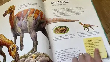 Обзор книги 📖 Такие разные динозавры 🦕