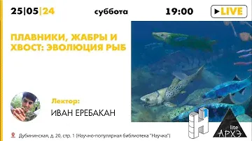 Лекция "Плавники, жабры и хвост: эволюция рыб" Ивана Еребакана ("Архэ Лайт")