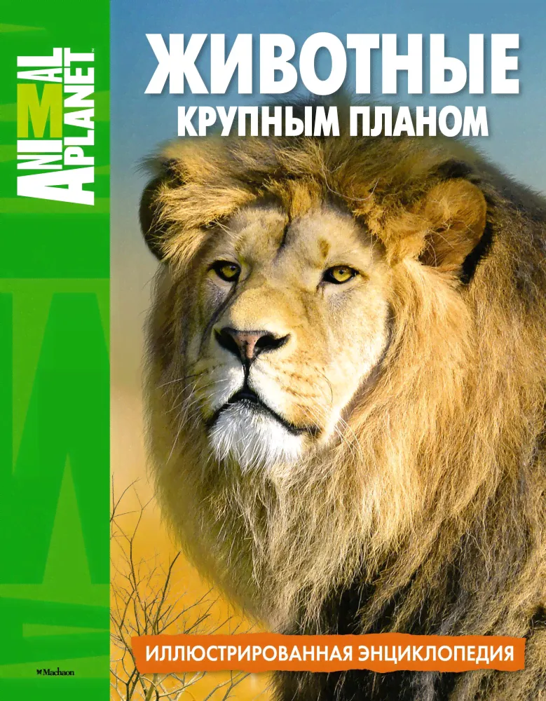 Животные крупным планом. Иллюстрированная энциклопедия. Animal Planet (Махаон)-0