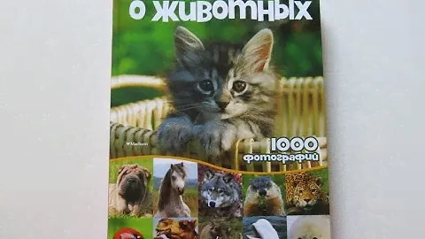 Книга, которую покупают все мамы!Моя большая книга о  животных.1000 фотографий.Обзор.