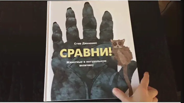 Страшно красивая книга Сравни. Животные в натуральную величину Steve Jenkins