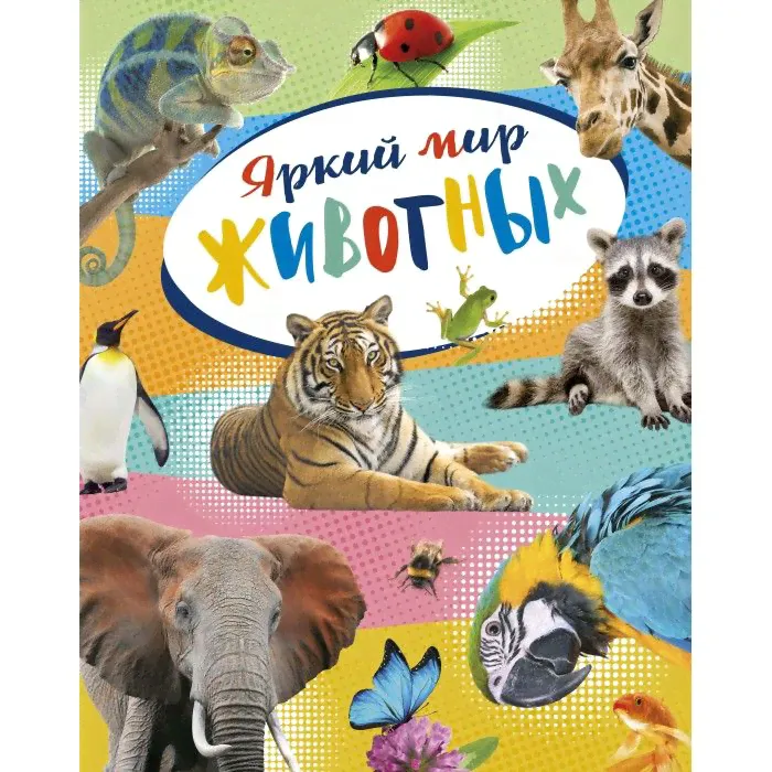 Махаон Энциклопедия Яркий мир животных-0
