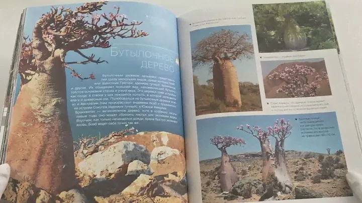 Большая книга о растениях. 1001 фотография