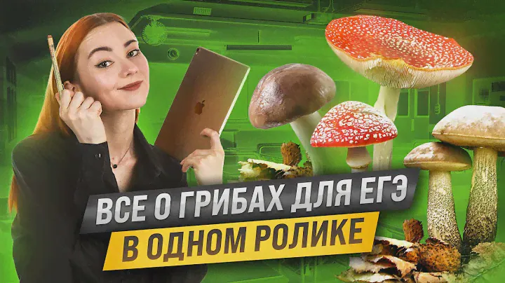 Грибы: вся тема для ЕГЭ