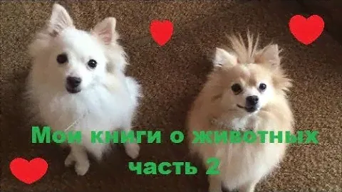 ☀ МОИ КНИГИ О ЖИВОТНЫХ, ЧАСТЬ 2 ☀