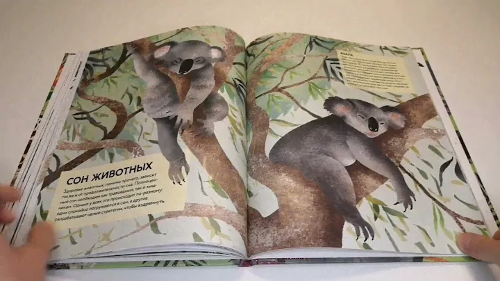 Детская книга "Удивительные животные. Самые - самые". Изд - во Махаон.