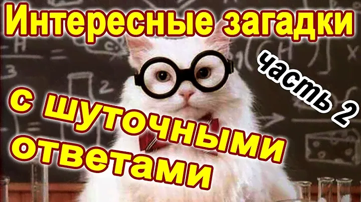 Шуточные загадки и вопросы c подвохом часть 2. Логические загадки