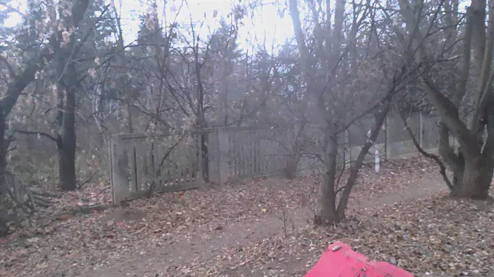 Загадки природы?