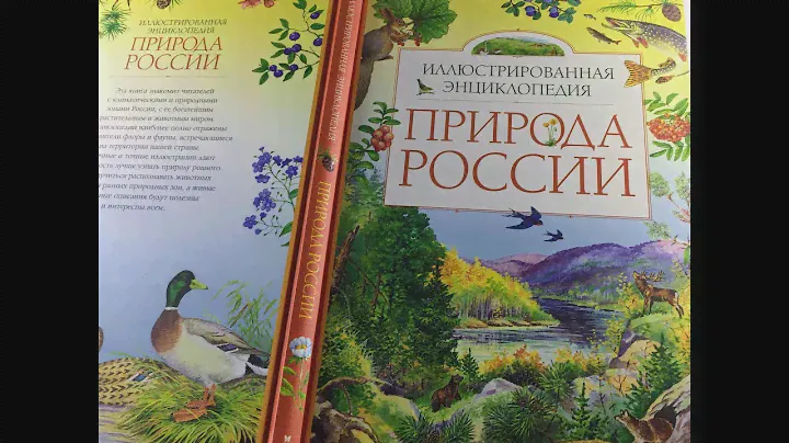 Природа России. Иллюстрированная энциклопедия. Романова, Свечников. Изд. Махаон. Обзор