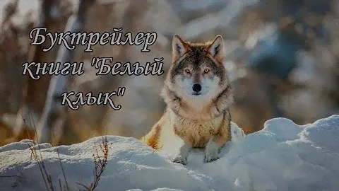 Буктрейлер книги "Белый клык" –Джека Лондона на конкурс "Страна Читателя"
