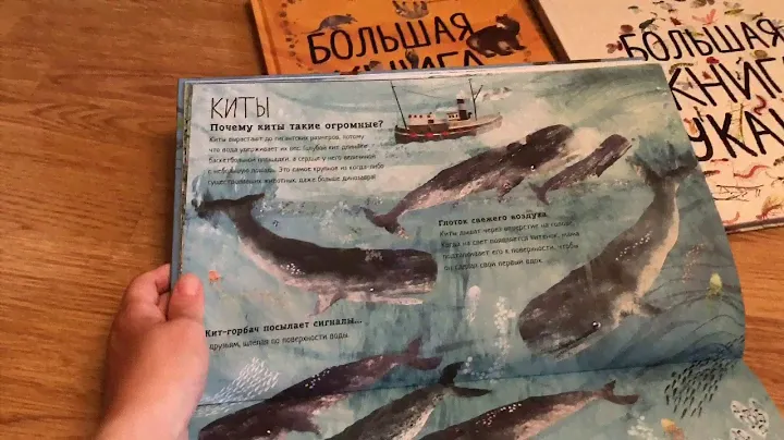 Читаем детям.Обзор детских книг о животных