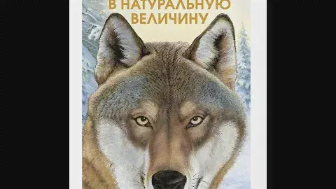 Лесные животные в натуральную величину
